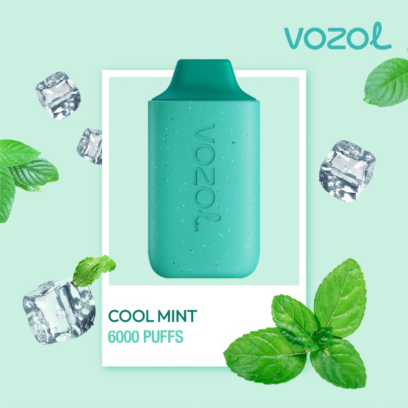 Star6000 Cool Mint - Tigara electronica de unica folosinta - Vozol