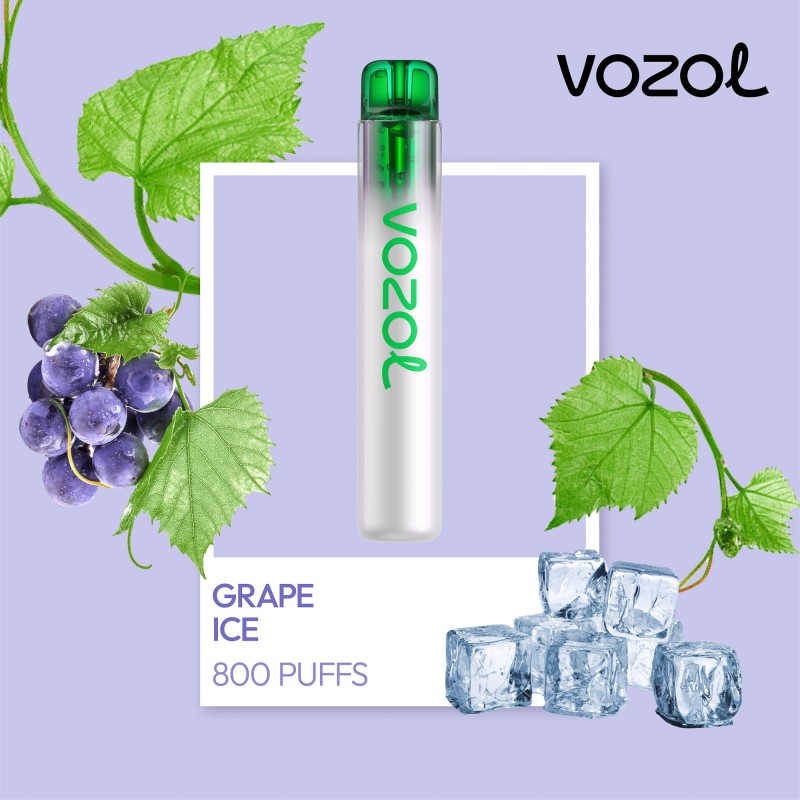 Neon800 Grape Ice - Tigara electronica de unica folosinta - Vozol